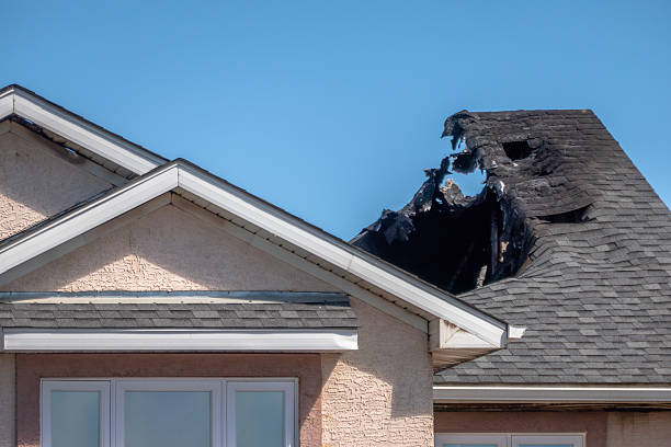 Top rated local Odor Removal specialists in Indian Rocks Beach, FL